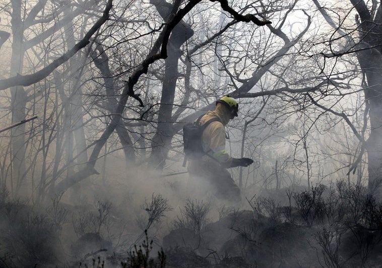 La región se encuentra en riesgo extremo de incendios forestales